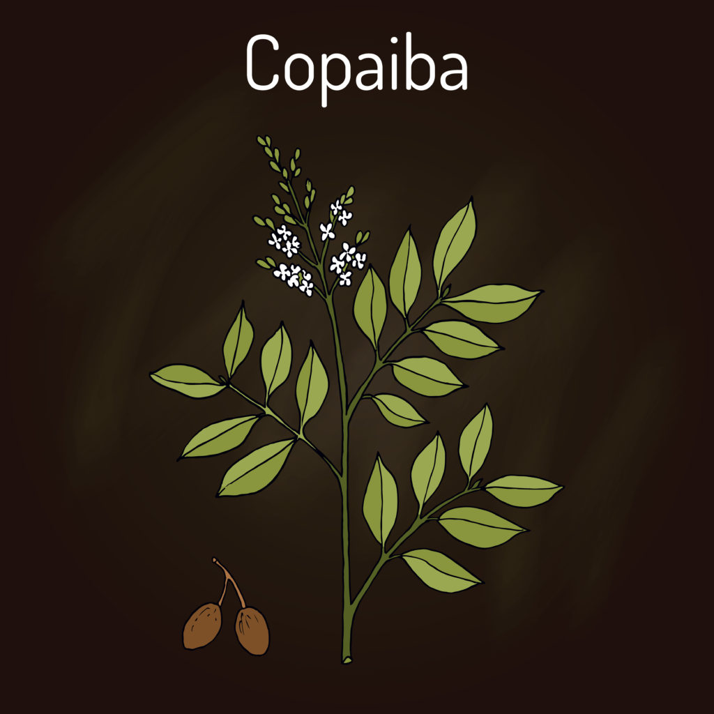 Copaiba oil list of benefits