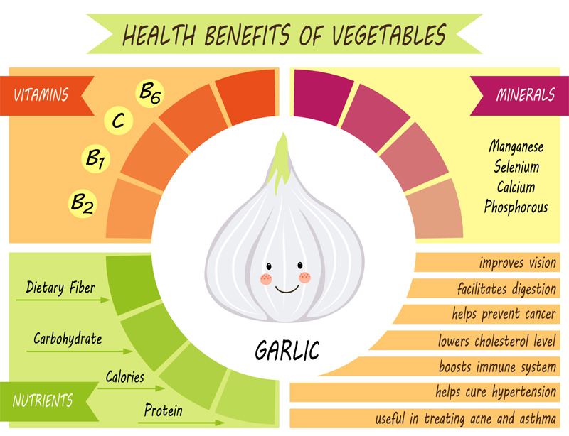 Garlic Benefits for men Ayurveda for Beginners