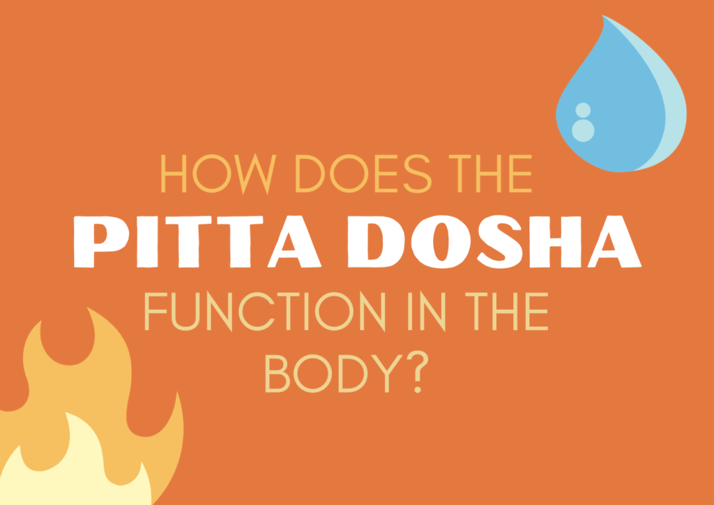how the Pitta Dosha works in your body Ayurveda for Beginners