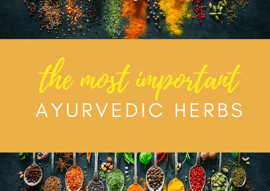 important AYURVEDIC HERBS