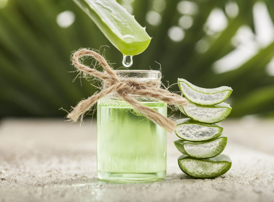 How To Store Aloe Vera Gel Everything You Need To Know Ayurveda for